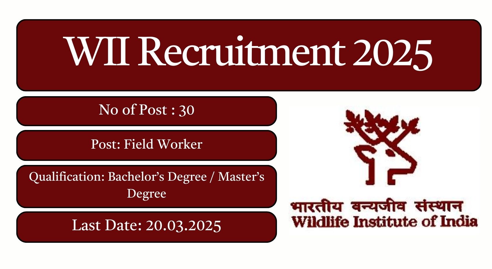 WII Recruitment 2025 30 Field Worker Posts; Apply Here!